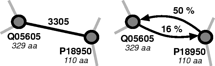 \begin{figure}\centerline{\epsfig{file=bioinfo/diredge.eps,width=\linewidth} }\end{figure}